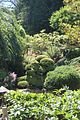 157 - Butchard Gardens  - IMG_1720